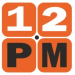 12PM Consulting project management training